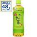 ���`������ �Β� �ɓ��� 600ml�~24�{�~2�P�[�X (48�{)(�������� �A�ꕔ�n��͏���) �Β� �ɓ���  ���� ���ݕ� ����