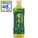 ���`������ �Z���� �ɓ��� 600ml�~24�{�~2�P�[�X (48�{)(�������� �A�ꕔ�n��͏���) �Β� �ɓ���  ���� ���ݕ� ����