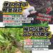 �������� �蓮�����@ �L �Ў�p 11���������蓹�� �F�� �����背�[�L �����@ �������� ���ނ��� �G������ ����� �_��� ���| �ƒ�؉� �K�[�f�j���O �����H�� �֘A�摜5