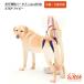  собака приспособление для ходьбы lala walk подножка ivy средний собака большой собака Harness уход высота . собака sinia задний пара выход прогулка поддержка туалет ..