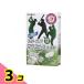 tento прозрачный мундштук моющее средство зеленый чай. аромат 48 таблеток 3 шт. комплект 