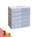 �X�R�b�e�B �e�B�V���[  5���p�b�N 3�Z�b�g