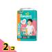 �p���p�[�X ���炳��P�A �p���c �r�b�O�T�C�Y ���K�W�����{ 64���� 2�Z�b�g