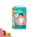 �p���p�[�X ���炳��P�A �p���c �r�b�O�T�C�Y ���K�W�����{ 64���� 3�Z�b�g