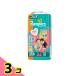 �p���p�[�X ���炳��P�A �p���c �r�b�O���傫���T�C�Y 46���� 3�Z�b�g