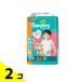 �p���p�[�X ���炳��P�A �p���c �r�b�O�T�C�Y ���K�W�����{ 64���� 2�Z�b�g