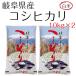 米 お米 白米 20kg  コシヒカリ　岐阜県産　令和元年産　10kg×2袋 送料無料　