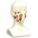 �}�X�N �L �݂��炵����� �􂦂� �z������ UV�J�b�g �}�X�N�P�[�X�t�� ���{���i�O�сj