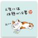 ne. чай hojicha чайный пакетик ( жизнь - ... необходимо ) кошка .... Chan (3. ввод )