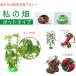 �q�ǂ����ȒP�ɂł���I �ƒ�؉� ���k�͔| �L�b�g ���̔� �|�b�g�^�C�v �x�����_�؉�  ���� ���R���� �������� �֘A�摜3