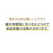 �ƒ�؉����S�҂��ȒP�Ɏ�܂����ł���I ���񂽂��܂� �ƒ�؉� �������� ���| ��� ��c �� ��܂��� G-84R �֘A�摜5