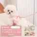 �n�[�l�X �h�b�O�E�F�A �� ���^�� ���^�� �����Ȃ� �y�b�g �t���� �� ������� ���킢�� �t �� �H �~ ���� ���₷�� ��� ���� �y�� �y�� �L ���U�� �ȒP���E