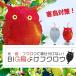 ���悯�t�N���E ���悯�O�b�Y ���悯 �J���X�悯 �x�����_ �� �K�[�f�� ���Q�΍� �Q������ �t�N���E�^ ���˔� �݂艺���� ���o�[�V�u�� ���� ��