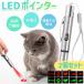 ���� 2�Z�b�g�L �������� �L����炵 �|�C���^�[ LED�|�C���^�[ USB�[�d �[�d�� ���C�g �˂� �l�R �y�b�g �L�p�i �O�b�Y �V�ѓ��� �˂�