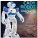 ロボット リモコン おもちゃ二足歩行 プログラミング