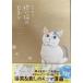 .. кошка. mo коричневый (KITORA)