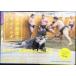 .. часть магазин. moru.mgi