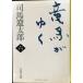  новый оборудование версия дракон лошадь ...(6) ( Bunshun Bunko )