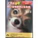  собака . быстро .... нравится стать книга@( Seishun Bunko )
