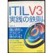 ITIL V3 практика. металлический .