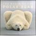 The World of the Polar Bear