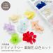 [ all 12 color ] natural material dry flower purple . flower (12 color set ) flower flower parts accessory parts both sides processing hand made material 
