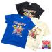 0�i���������j��100���i�E���g�����b�X�^�[6���I������T�V���c�ETR8824�j�p���\�����[�N�X�R���{�� �@�E���g���}�� �E���g�����b �q�� ���ǂ� �L�b�Y