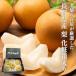  груша .. для прохладный рейс Nagano префектура производство несессер 5 шар примерно 1.2kg товар вид оставив решение кому-то другому . вода . вода юг вода и т.п.. какой-нибудь нет 