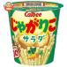 �J���r�[ ���Ⴊ�肱 �T���_ 57g�~12�� ���[�J�[ �≮�����b ��������