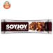 ��ː��� SOYJOY(�\�C�W���C) �A�[�����h���`���R���[�g 30g�~48�{���b ������