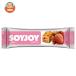 ��ː��� SOYJOY(�\�C�W���C) �X�g���x���[ 30g�~48�{���b ������