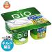  бесплатная доставка da non Japan da non bioBIO жир .0 простой * сахар не использование (75g×4)×6 штук ×(2 кейс ) наклон рефрижератор товар 