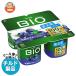  бесплатная доставка da non Japan da non bioBIO... голубика (75g×4)×6 штук наклон рефрижератор товар 