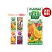 �J�S�� ��ؐ���100�E��؈�������{ �l�ߍ��킹�Z�b�g 200ml�~48(4��~12)�{���b ��������