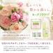 �L�[�v�E�t�����[ ���� 10ml�~100�� �֘A�摜1