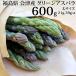  asparagus futoshi size 600g 1 pcs per 21g-39g Fukushima prefecture . many person production cool flight direct delivery from producing area .. day . that day shipping free shipping [ Aizu aspalaL size 600g]