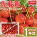  reservation sale cherry with translation . home use Sato .1kg Yamagata prefecture production [ Sato .. home use ML1 kilo ] tilt flight ( cool flight )