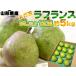 ���K���5L�ȏ�E12�ʁE��5kg �R�`���Y�m�� �m�i�V�̏������t�����X �������� [���t�����X5�k5�L��]