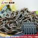  клей udon 2kg(200g×10 пакет ). лапша императорская фамилия . сверху. . Chan . Hagi ... данный земля лапша восток сосна остров название производство специальный продукт местного производства пшеница .. бесплатная доставка [ клей udon 200g×10 пакет ] немедленная отправка класть распределение возможно 