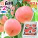  белый персик Yamagata префектура производство 2kg.. для подарок .. соответствует превосходящий выбор 5~8 шар ввод наклон рефрижератор рейс бесплатная доставка [ белый персик подарок 2 регистрация -ru рейс ] Okinawa префектура отдаленный остров отправка не возможно 