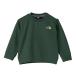 THE NORTH FACE The * North * лицо Baby B Sweat Logo Crew AL NTB12561