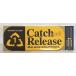 ꥹƥåNo.28 Catch and Release 208cm NORTH ISLAND
