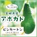 [12 месяц последняя декада примерно .. последовательный отправка ] Miyazaki производство авокадо [ булавка картон ]L размер (300g~349g)×2 шар ввод [ местного производства авокадо ][ местного производства фрукты ][ фрукты подарок ]