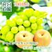  фрукты комплект автомобиль in мускат 1~2.+. вода груша 1.5Kg подарок на Bon Festival бесплатная доставка несессер прямая поставка от производителя автомобиль in мускат груша 