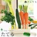 PLYSbejimaji length . vegetable stand vegetable preservation vegetable storage storage drainer vegetable . freshness guarantee . preservation for vegetable stocker dishwasher tableware dryer correspondence made in Japan 10%OFF