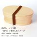 �����`�o���h �u���E�� ���F 24cm ��1.5cm �����`�x���g �S���o���h ���n �V���v�� ���ٓ� ���ٓ��� �Ȃ������ �����`���� ������� ���킢�� �V���� �w�Z ���w �֘A�摜2
