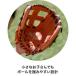 �싅 �O���[�u � �W���j�A� �~�Y�m ���c���� �f�B�A���[�L�[ �I�[�����E���h�p �T�C�YM �u���b�N ���S�� ���w�� �q�ǂ� �L���b�`�{�[�� �e�q 1AJGY009 �֘A�摜4