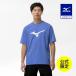  Mizuno официальный [ Mizuno прямой . ограничение ]THE MZ TEE большой Logo футболка мужской женский морской голубой 