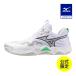  Mizuno официальный Mizuno фирменный магазин ограничение ue-bmo- men tam Elite волейбол белый × черный × зеленый унисекс solarravepack