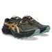 ASICS( Asics )TRABUCO 14 тигр b-ko14(1011C166) спорт бег обувь Trail Ran tore Ran jo серебристый g уличный обувь мужской 
